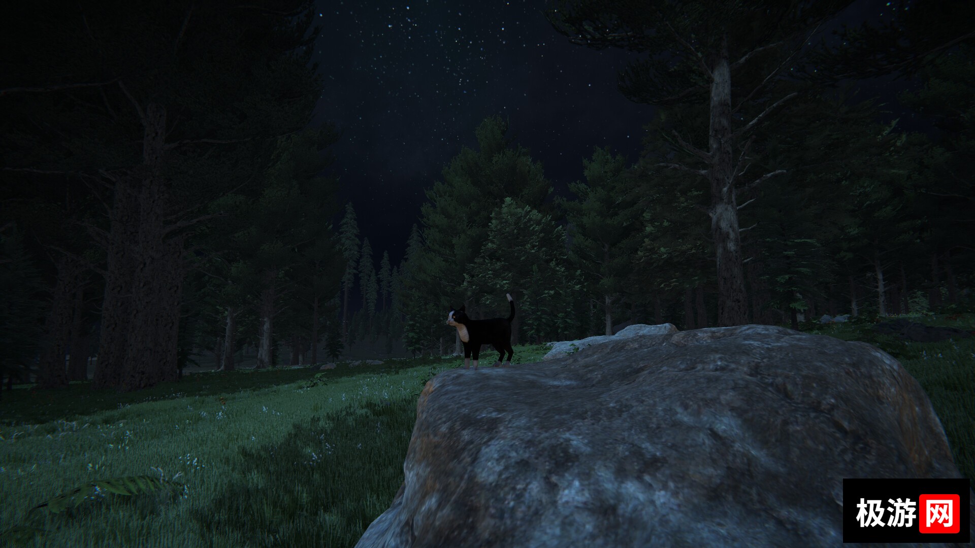 图片[1] [PC]猫咪人生/Cat Life